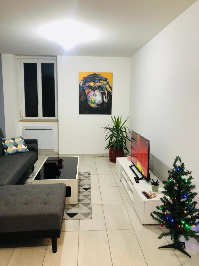 Superbe Appartement Roanne Exterior foto